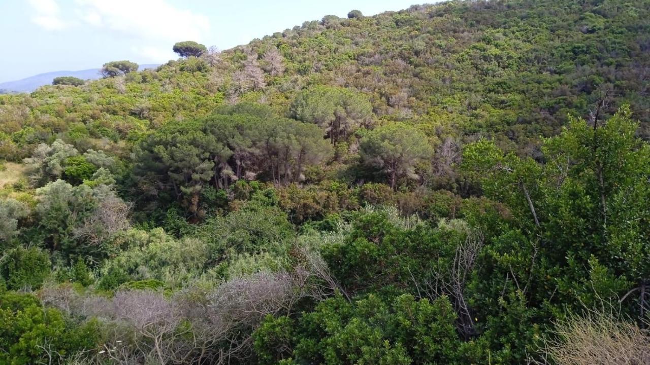 费拉约港Buen Retiro住宿加早餐旅馆 外观 照片